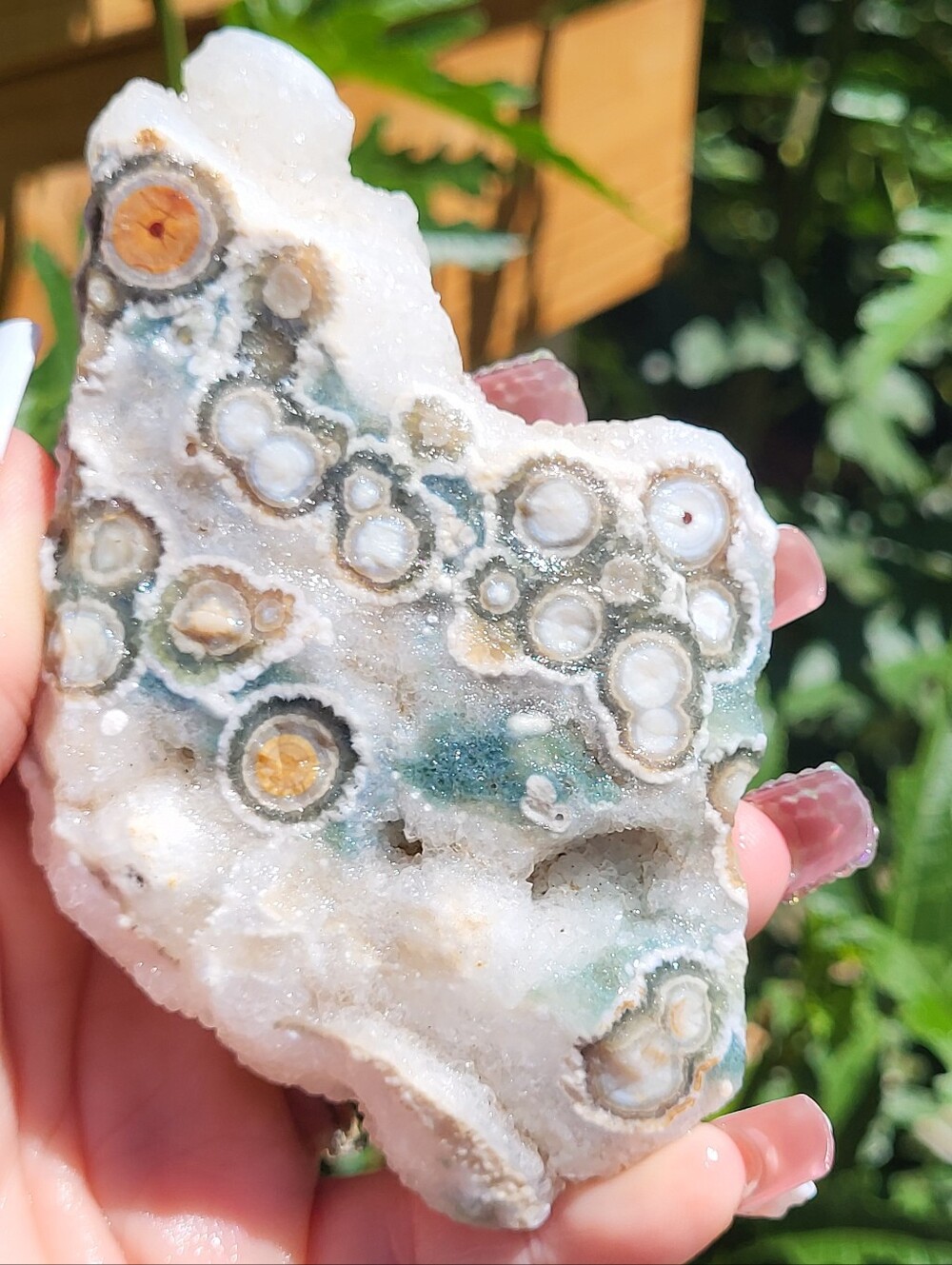 Orbicular Ocean Jasper Freeform